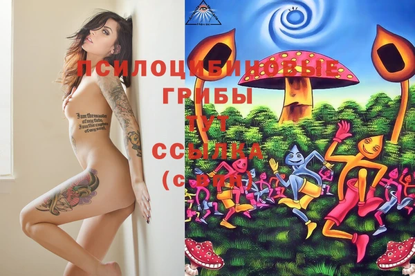 героин Няндома