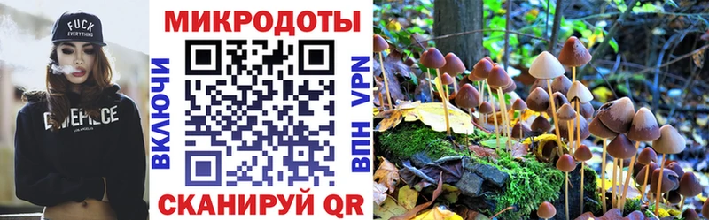 Галлюциногенные грибы мухоморы  где купить наркоту  Новосиль 